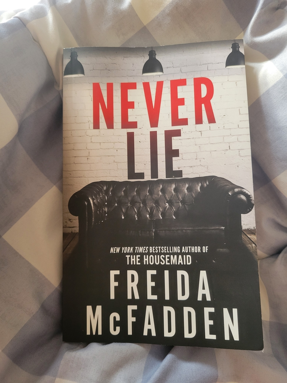 Never Lie by Freida McFadden